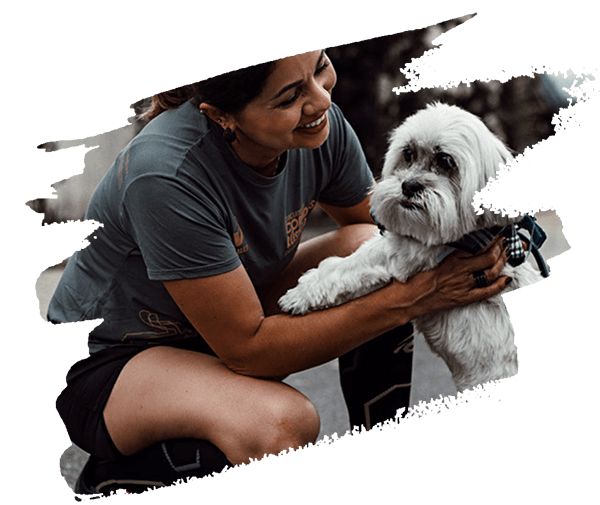 pet sitting teammate 2